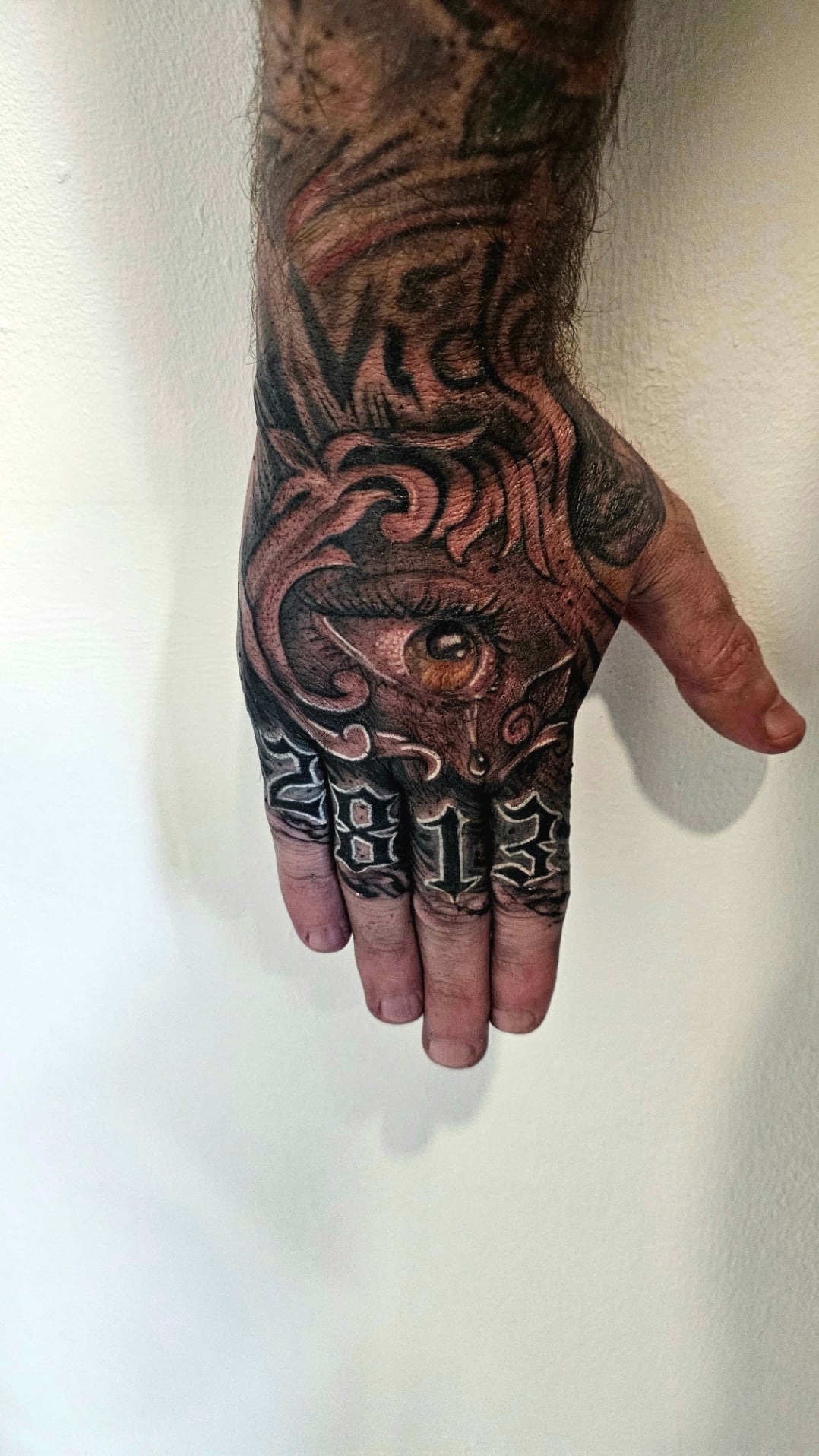 Trabajo de Enzo
