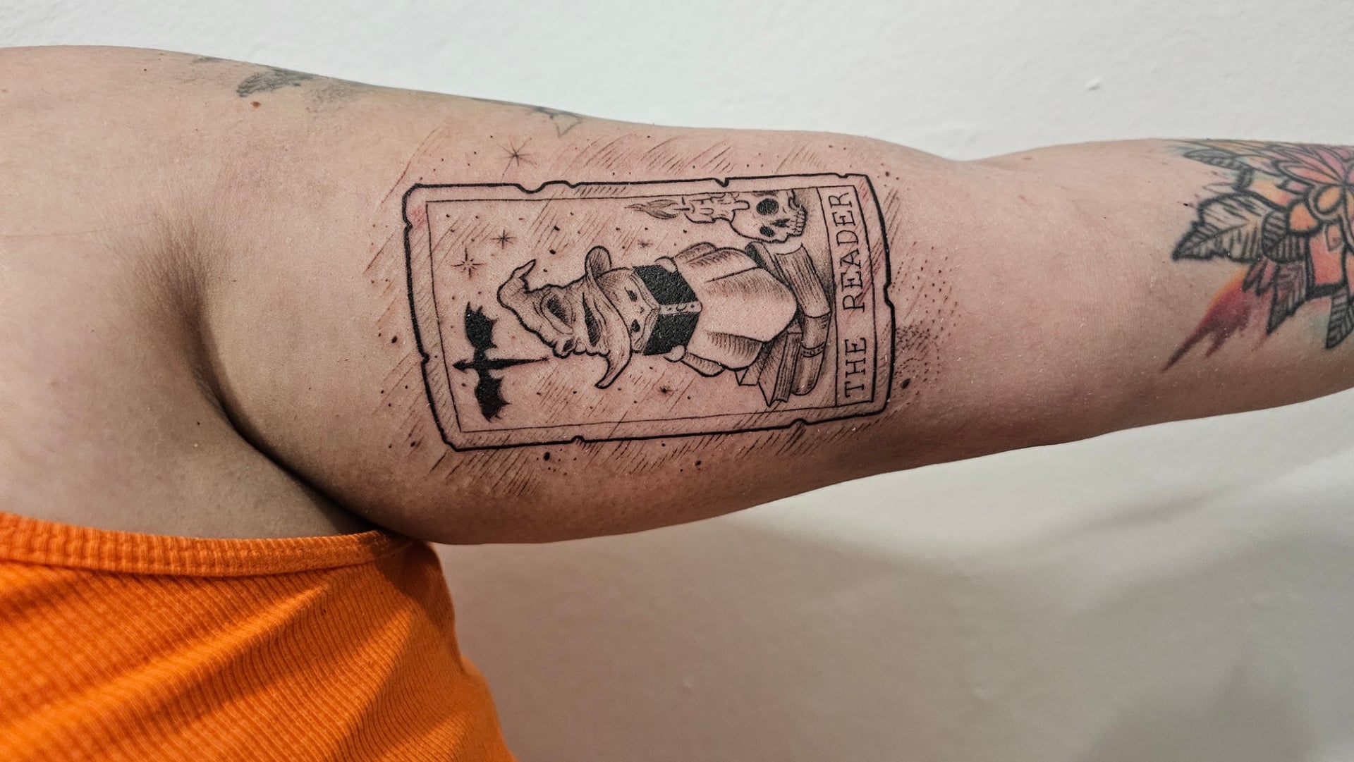 Trabajo de Enzo